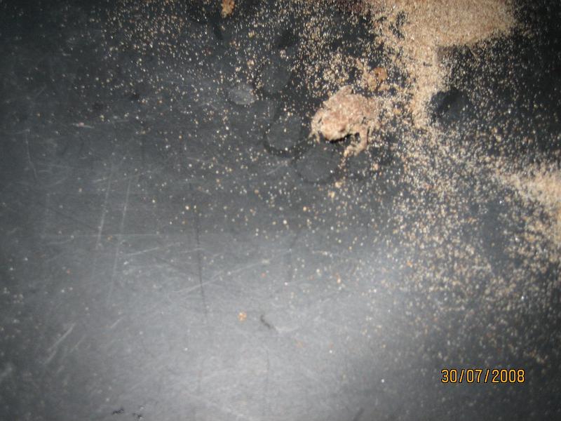 Kanoferie 2008 188.JPG